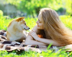 The Gift of Nonverbal Communication Between a Dog and Owner