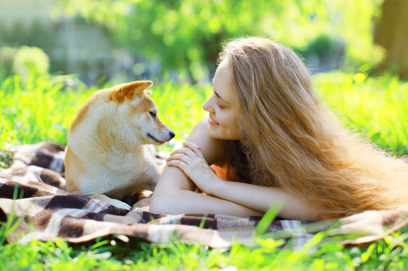 dog communicating with owner