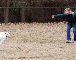 This Behaviorist Helps Doggies Face Their Anxiety and Heal – Amazing!