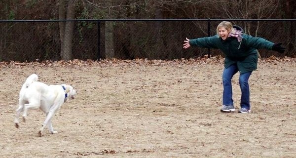 dog trainer