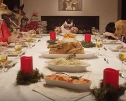 [VIDEO] Doggy Holiday Feast Will Have You Saying OMG! You Won’t Believe This!