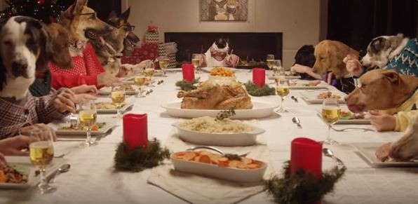 dogs eating a holiday feast