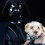 The Force Awakens – How Star Wars is Helping Pets for Adoption