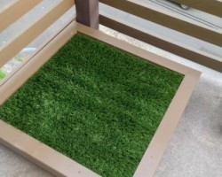 This DIY Doggy Potty for Dogs Who Live in the City is Genius! Check it Out…