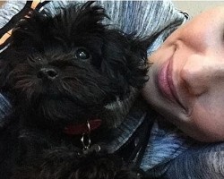 Meet Demi Lovato’s New Puppy – The Story Behind Batman Will Touch Your Heart!
