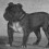 Woah! Check out These 6 Extinct Dog Breeds You Didn’t Even Know Once Existed