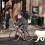 Why Bicycle Safety is Important While Biking with Your Pooch