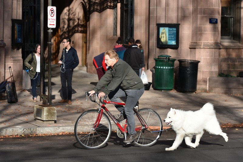 bike rider with dog