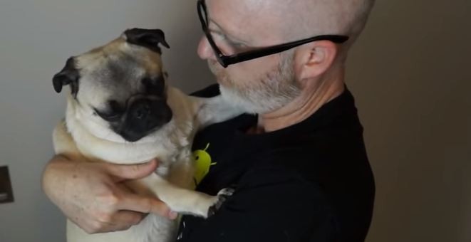 dad and pug