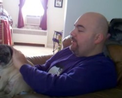 Pug Doing THIS to Dad’s Bald Head is Funny Yet Cute, You Gotta Watch This!