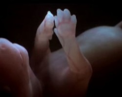 Watch a Baby Doggy Fetus Inside a Mother’s Womb – You’ve Never Seen Anything Quite Like This Before!