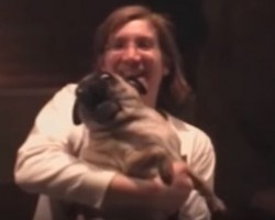 Terrified Pug Shocks Everyone With a Reaction I Guarantee You’ve Never Seen Before!