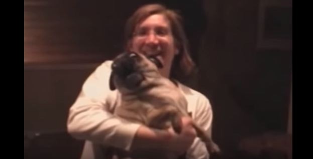 scared pug