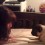 When This Mom Teaches Her Pug to Roll Over it Doesn’t Go as Planned – LOL!
