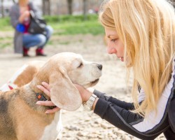 Do You Speak Dog? Here’s the Best Way to Talk to Fido