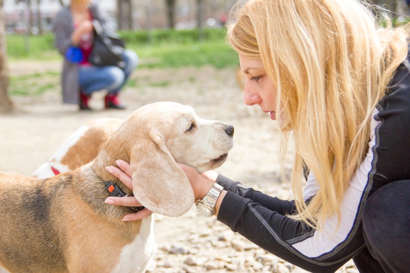 woman talking to her dog