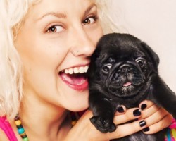 12 Signs That’ll Reveal You’re an Obsessed Pug Person… and Damn Proud of It!