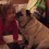 (VIDEO) This Tender Moment Between a Blind Pug and Little Girl Will Touch Your Heart