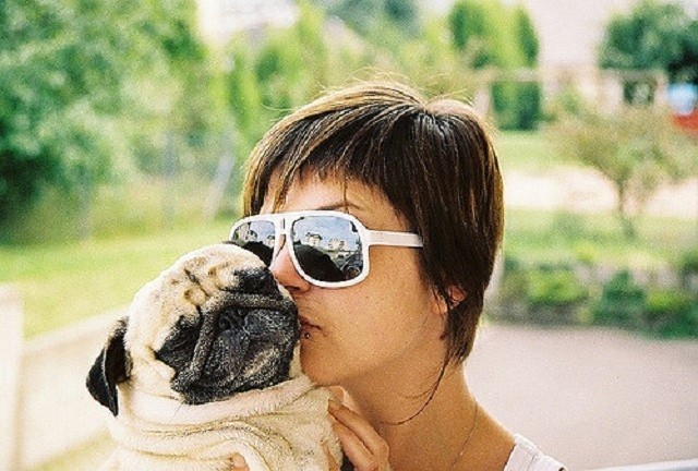 owner kissing pug