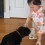 (VIDEO) Pug and Laughing Baby are too Cute for Words!