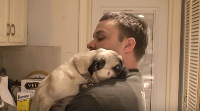 pug giving dad a hug