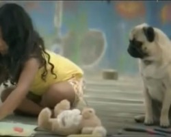 (Video) Commerical Featuring a Pug as a Girl’s Guardian Angel is Touching Everyone’s Heart