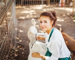 Reasons Why Volunteering at an Animal Shelter Can Change Your Life (and the Dogs You Care For)