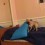 (VIDEO) This Clever Pug Knows it’s Time for Bed. Now Watch What He Does to Delay the Inevitable…