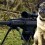 (VIDEO) This Sniper Pug is a Total Maverick – He’s My Hero!