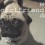(VIDEO) This Man’s Girlfriend Did a Prank With His Dog. How He Responds With His Girlfriend’s Pug Will Shock You!