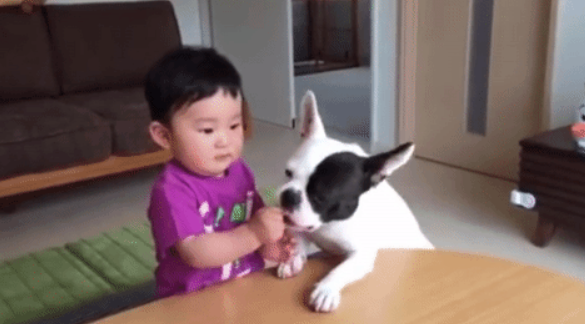little boy feeding a dog a treat
