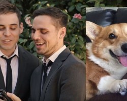 (VIDEO) You’ll Fall off Your Chair Laughing After Identifying with These Weird Things Couples Do with Their Dogs