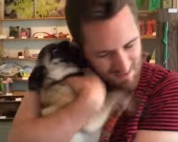 Pug Stayed at a Doggy Hotel for 24 Hours. When Her Parents Pick Her Up? Look at How She Reacts!