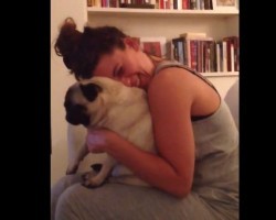 (VIDEO) Pug is Just Sitting on Mom’s Lap While the TV is On. When She Begs Her Mom to Do More of THIS? This is too Cute!