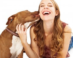 Why a Dog Likes to Lick Her Human