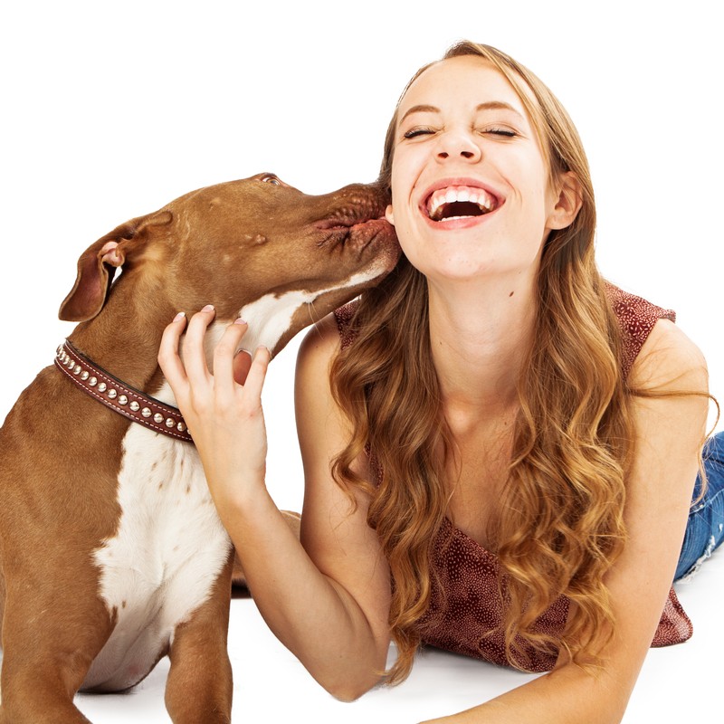 pit bull kissing girl