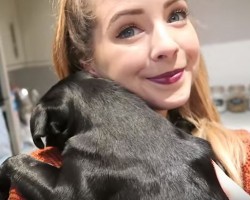 (VIDEO) This Vlogger and Pug Seriously Know How to Cuddle – Their Relationship is Beyond Precious!
