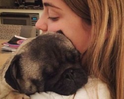 10 Aww-Worthy Moments of Pugs Who Love Giving Their Human a Hug. #1 is the Sweetest Hug EVER.