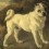 (VIDEO) Have Pugs Changed Over Time? Watch This Intriguing Video to Find Out…