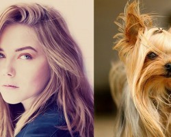 Here’s Proof That Dogs Can Look Just Like Their Humans. I Can’t Stop Laughing!