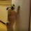 (VIDEO) Pug Does NOT Like Something on the Fridge. When You Find Out What it Is? Get Ready to LOL!