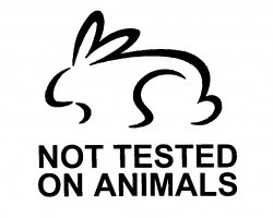 Do You Buy Cruelty-Free Products? Here’s How to Make Sure They’re Really NOT Tested on Dogs