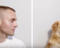 (VIDEO) Here’s What Life Would be Like… As Your Dog!