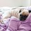 9 Tips for Sleeping Well While Still Having Your Dog Sleep With You