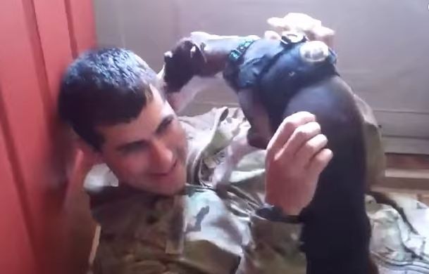 soldier being greeted by dog