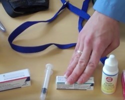 (VIDEO) Have You Put Together a Doggie Emergency Kit Yet?