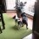 (VIDEO) Mommy Just Got Home. When Two Doggies Find Out? Their Response is Out of This World!