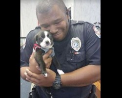 Cop Rescues an Abandoned Puppy. Now Witness the Exact Moment They Fell in Love.
