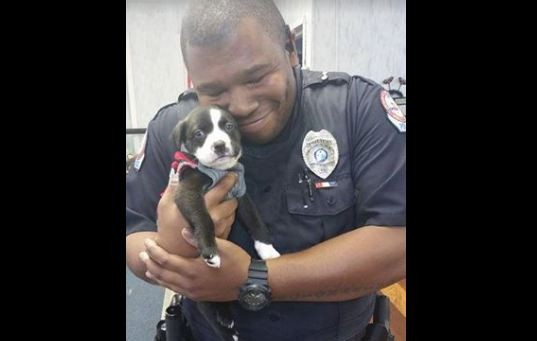 officer and puppy