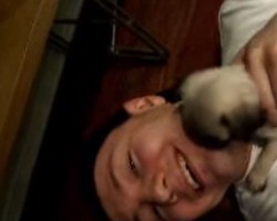 (VIDEO) Pug Puppy Attacks Her Daddy With Kisses All Over His Face. This Will Make Your Day!